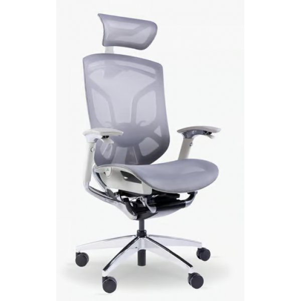 GTChair Dvary-X 人體工學辦公椅 (灰色) 智能調節